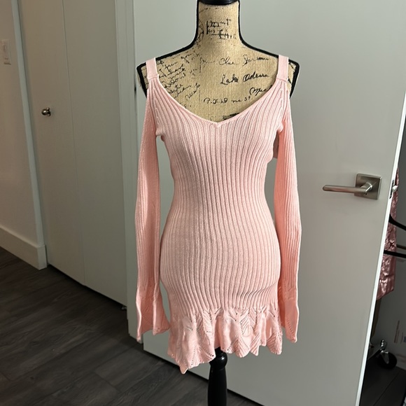 NWT - pretty pink knitted dress from Lovers + Friends!!! - Picture 1 of 7